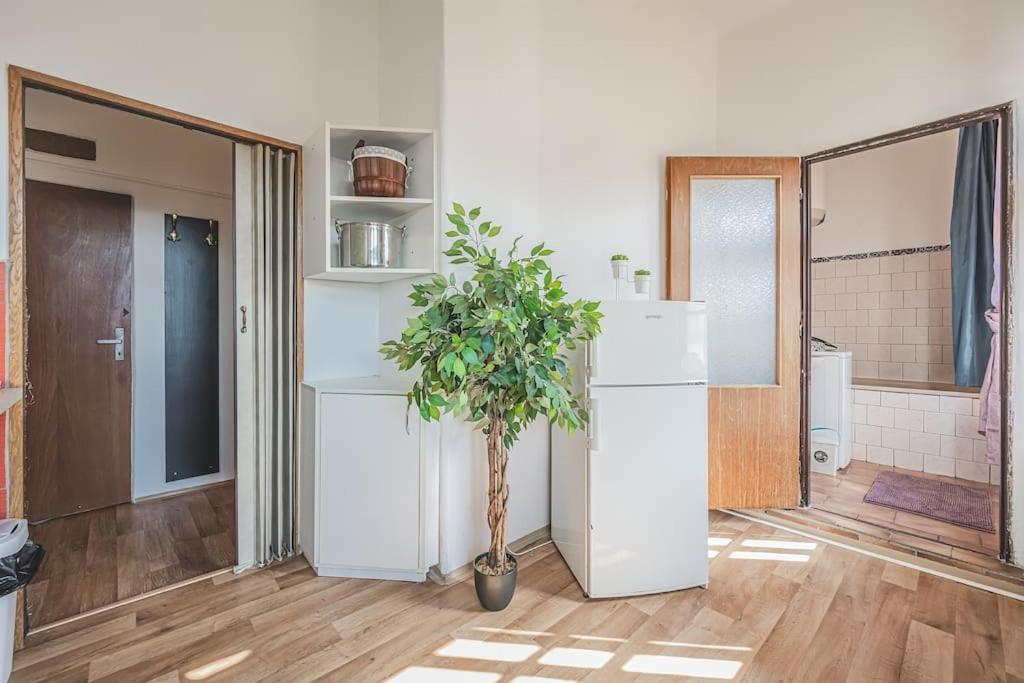 Carolina'S Romantic Apartment Hradec Kralove Luaran gambar